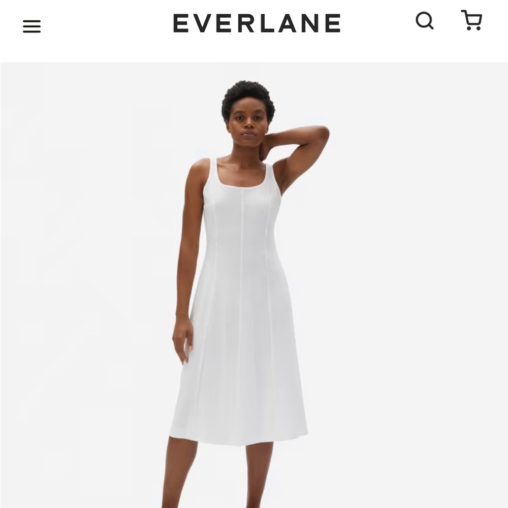 Everlane Luxe Cotton Seamed Tank Dress